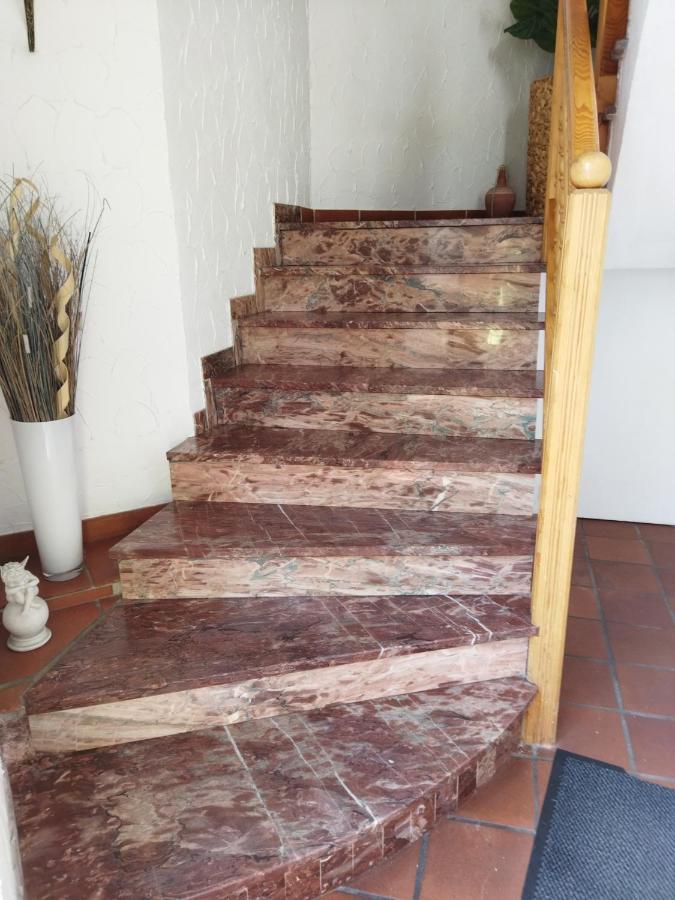 Aussergewoehnliche Atelierferienwohnung Mit Balkon An Der Donau Winzer Exterior photo