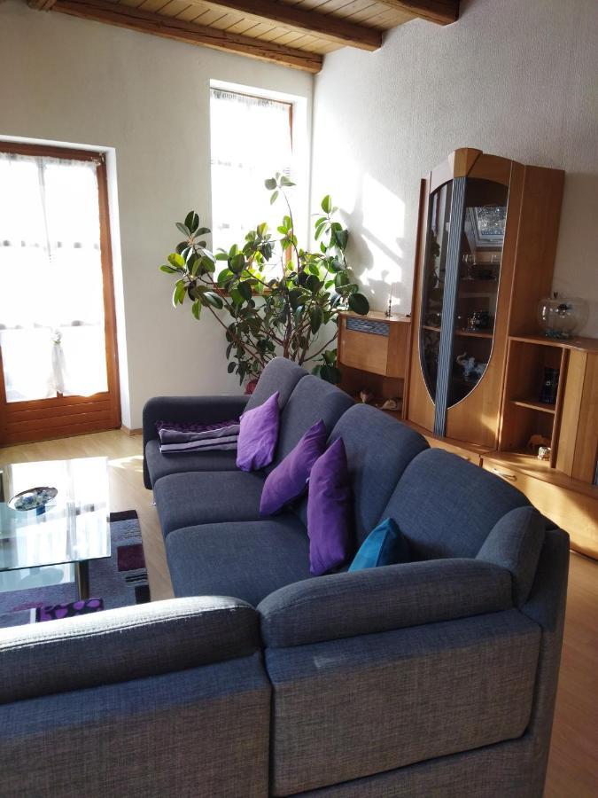 Aussergewoehnliche Atelierferienwohnung Mit Balkon An Der Donau Winzer Exterior photo