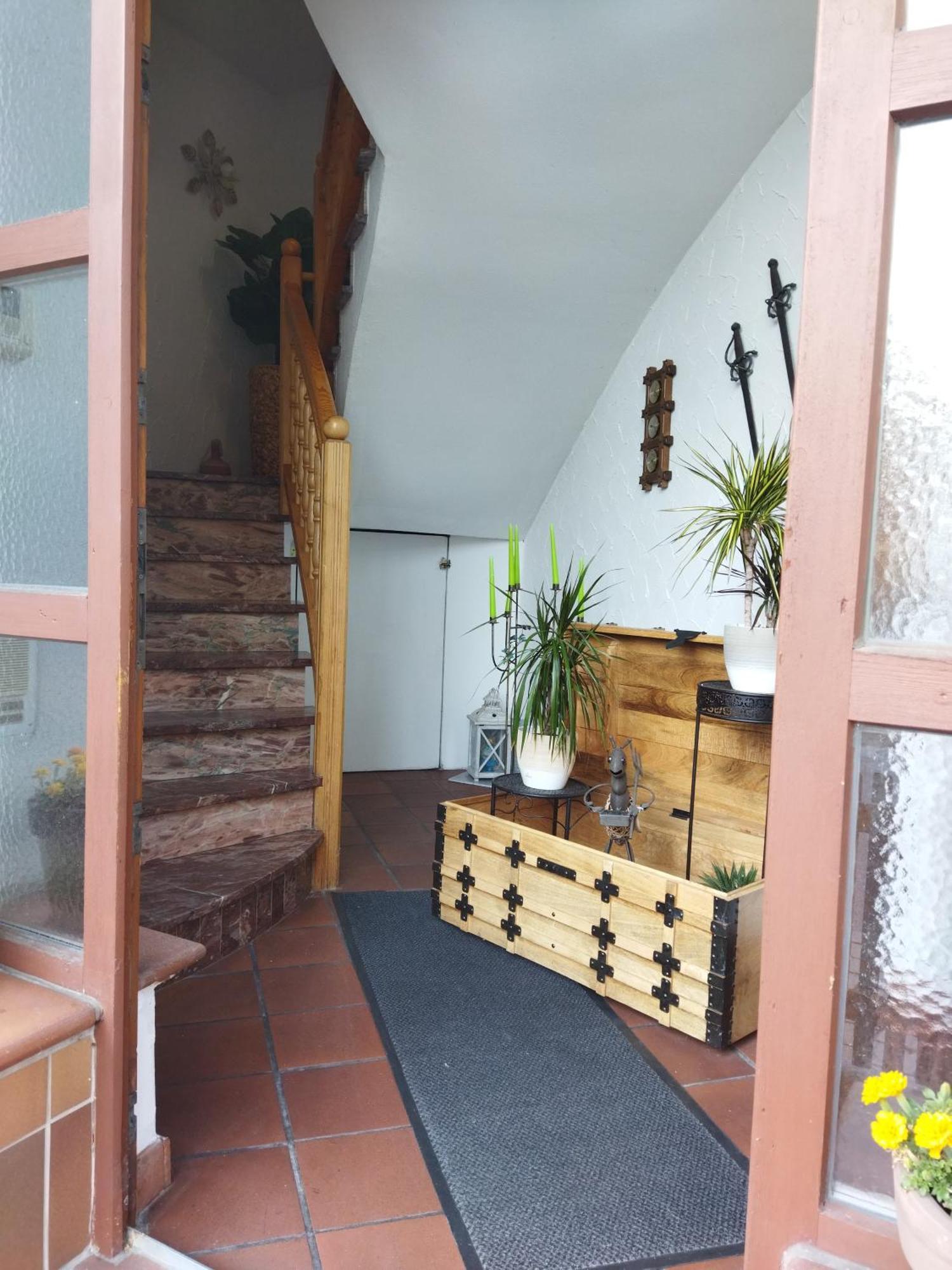 Aussergewoehnliche Atelierferienwohnung Mit Balkon An Der Donau Winzer Exterior photo